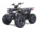Tao Motor 125 Mud Hawk10 Kids Rival ATV - Free Assembly