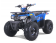 Tao Motor 125 Mud Hawk10 Kids Rival ATV - Free Assembly