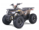 Tao Motor 125 Mud Hawk10 Kids Rival ATV - Free Assembly