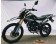 Hawk DLX 250 EFI Motorcycle
