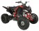 Vitacci 250 Pentora Racing ATV