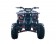 Vitacci Rider-10 125cc ATV