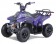 TaoTao Rock 110 with Reverse Kids ATV - Free Assembly 