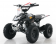 Mini Boulder 40cc Kids ATV