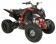 Vitacci 250 Pentora Racing ATV