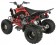 Vitacci 250 Pentora Racing ATV