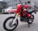 Bashan Storm 250 red