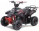 TaoTao Rock 110 with Reverse Kids ATV - Free Assembly 