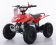 Mini Boulder 40cc Kids ATV