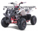 Tao Motor D125 NEW Kids 125cc ATV - Free Assembly