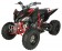 Vitacci 250 Pentora Racing ATV