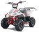 2022 NEW Tao Motor 110cc Boulder - Red
