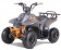TaoTao Rock 110 with Reverse Kids ATV - Free Assembly 