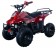 Vitacci Hawk Kids 110cc ATV