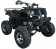 Cougar Cycle UT-200 ATV Fully Automatic with reverse Mid Size ATV