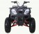 Tao Tao bull 200 Type Adult ATV