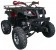 Cougar Cycle UT-200 ATV Fully Automatic with reverse Mid Size ATV