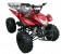 Coolster 125cc SportRunner Kid ATV Red