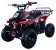 Vitacci Hawk Kids 110cc ATV