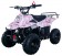 Vitacci Hawk Kids 110cc ATV