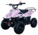 Apollo Hawk Kids 110cc ATV