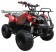 Coolster 110cc 3050D ATV