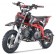 Tao Motor New DB20 110cc Pit Bike