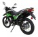 Vitacci Raven XL 250 Dirt Bike (Green)