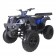 TaoTao 250 Rhino Adult Utility ATV Blue