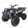 TaoTao 250 Rhino Adult Utility ATV Tree Camo
