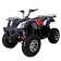 Tao Tao bull 200 Type Adult ATV
