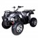 Tao Tao bull 200 Type Adult ATV