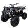 Tao Tao 150cc D-Type Adult ATV Tree Camo