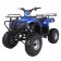 TaoTao 125F1 Kids ATV