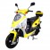 TaoTao 50cc EuroPlus Gas Scooter Moped Yellow