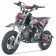 Tao Motor New DB20 110cc Pit Bike
