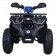 TaoTao Raptor 200 Utility ATV