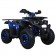 TaoTao Raptor 200 Utility ATV