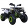 TaoTao Raptor 200 Utility ATV