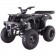 TaoTao 250 Rhino Adult Utility ATV black