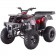 TaoTao 250 Rhino Adult Utility ATV Burgundy