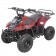 Vitacci Hawk Kids 110cc ATV