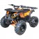 Vitacci Rider-10 125cc ATV