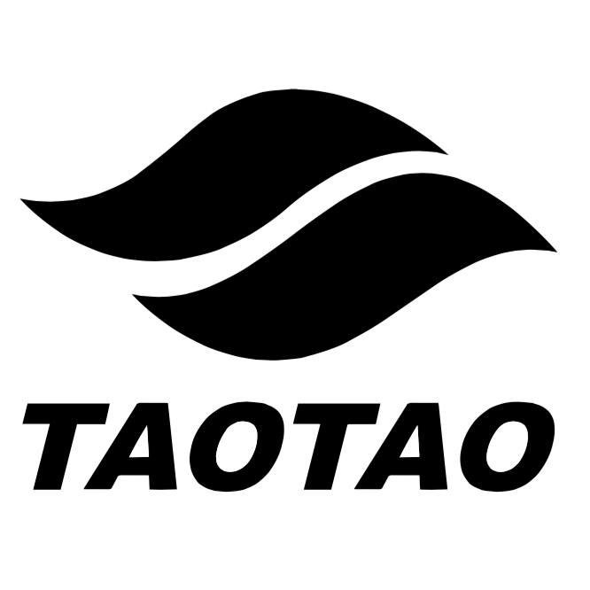 TAOTAO Go Karts